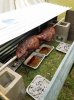 Pig Roast 2018-03.jpg