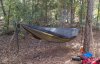 Hammock 1.JPG