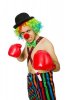 clown-boxing-gloves-isolated-white-43416508.jpg