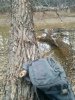 IMG_20161112_132733.jpg
