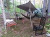 Twin Pine Hammock 01 May '18.JPG