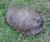 IMG_20181008_154029.jpg