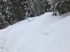 IMG_3710.JPG
