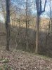 IMG_5804.jpeg