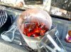 IMG_0726.jpeg