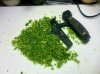 IMG_0934.jpeg