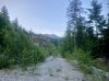 IMG_1111.jpeg