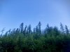 IMG_1122.jpeg
