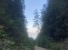 IMG_1119.jpeg