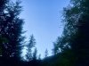 IMG_1125.jpeg