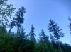 IMG_1128.jpeg