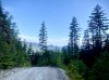 IMG_1129.jpeg