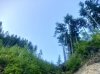 IMG_1152.jpeg