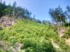IMG_1171.jpeg