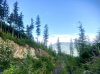 IMG_1172.jpeg
