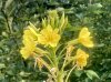 IMG_1174.jpeg