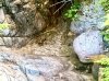 IMG_1176.jpeg