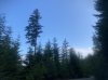 IMG_1178.jpeg
