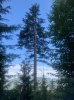 IMG_1190.jpeg