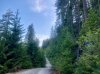 IMG_1194.jpeg