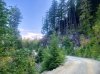 IMG_1197.jpeg