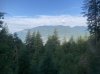 IMG_1198.jpeg