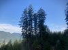 IMG_1199.jpeg