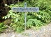 IMG_1200.jpeg