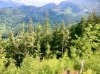 IMG_1206.jpeg