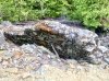 IMG_1225.jpeg