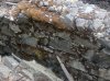 IMG_1226.jpeg