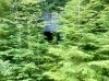 IMG_1229.jpeg
