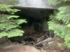 IMG_1232.jpeg