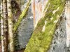 IMG_1237.jpeg