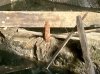 IMG_1252.jpeg