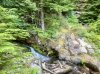 IMG_1268.jpeg