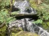 IMG_1270.jpeg
