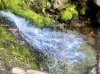 IMG_1271.jpeg
