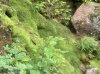 IMG_1272.jpeg