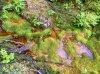 IMG_1275.jpeg