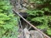 IMG_1277.jpeg