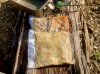 IMG_1284.jpeg