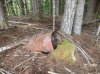 IMG_1313.jpeg