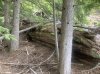 IMG_1314.jpeg