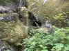 IMG_1331.jpeg