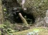 IMG_1332.jpeg