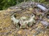 IMG_1411.jpeg