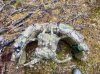 IMG_1412.jpeg
