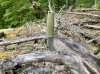 IMG_1413.jpeg