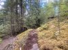 IMG_1447.jpeg